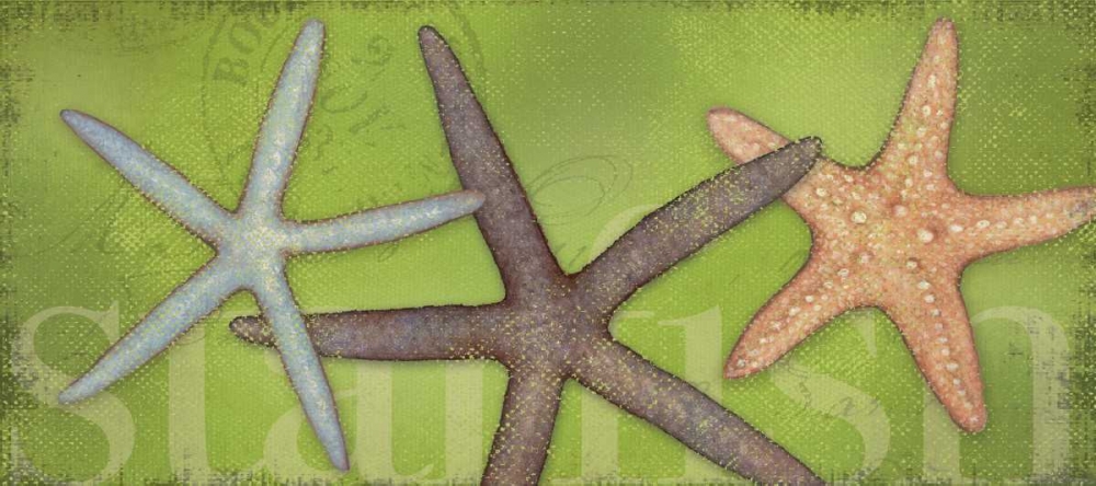 Star Fish art print by Stephanie Marrott for $57.95 CAD