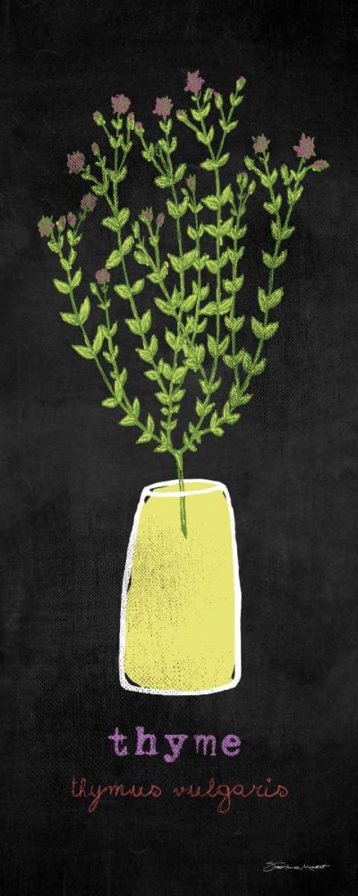 Thyme art print by Stephanie Marrott for $57.95 CAD
