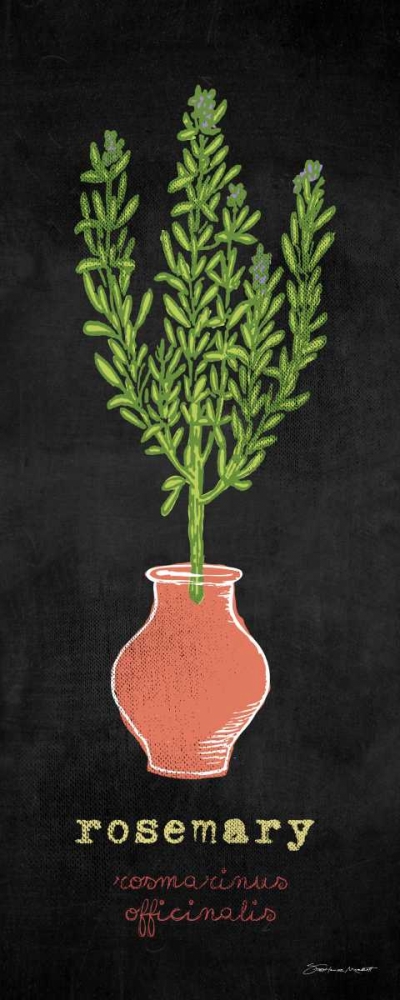 Rosemary art print by Stephanie Marrott for $57.95 CAD