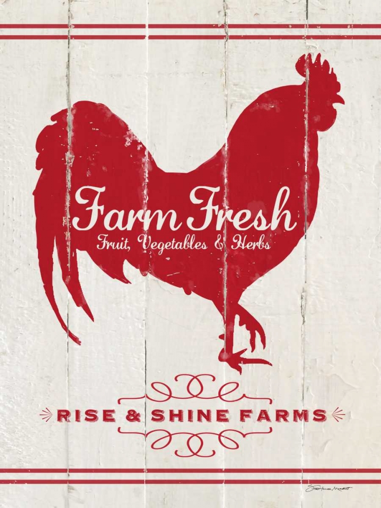 Rooster art print by Stephanie Marrott for $57.95 CAD