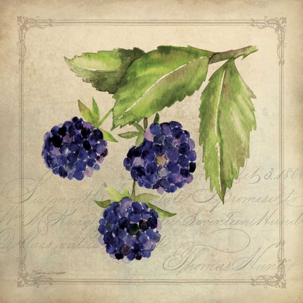 Blackberry Collage art print by Stephanie Marrott for $57.95 CAD