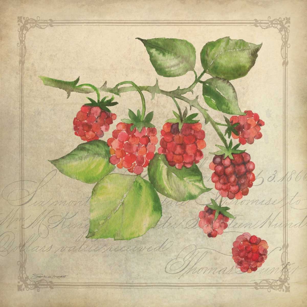Rasberry Collage art print by Stephanie Marrott for $57.95 CAD