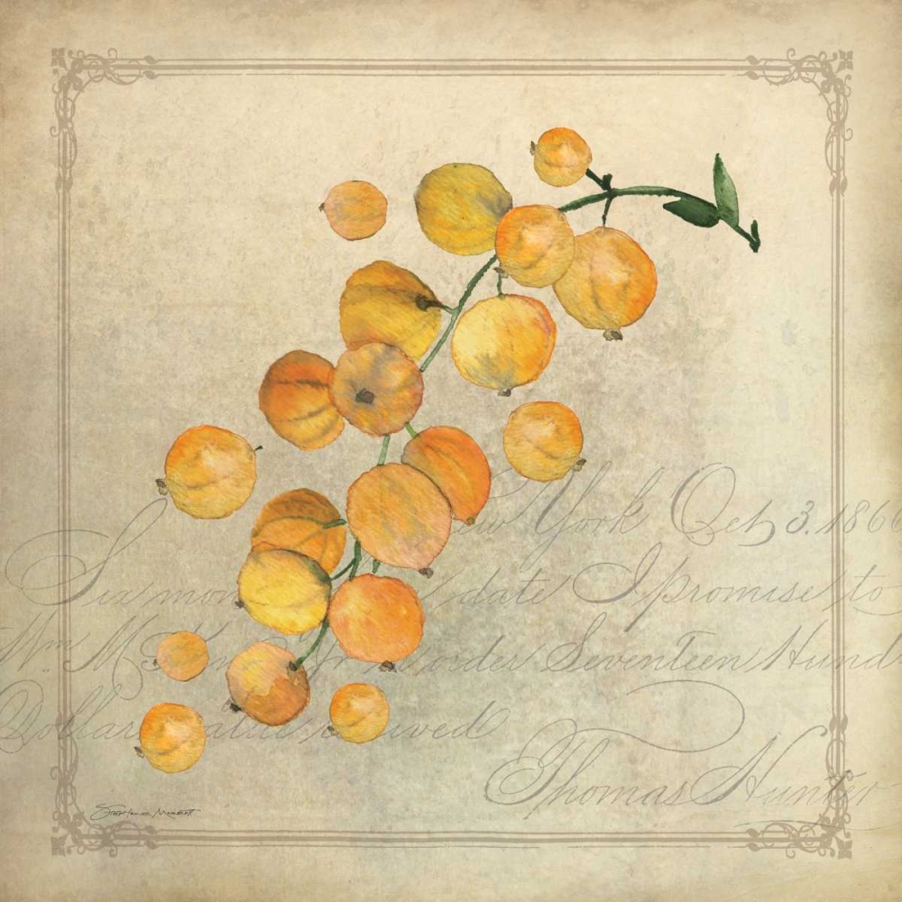 Yellow Berries art print by Stephanie Marrott for $57.95 CAD