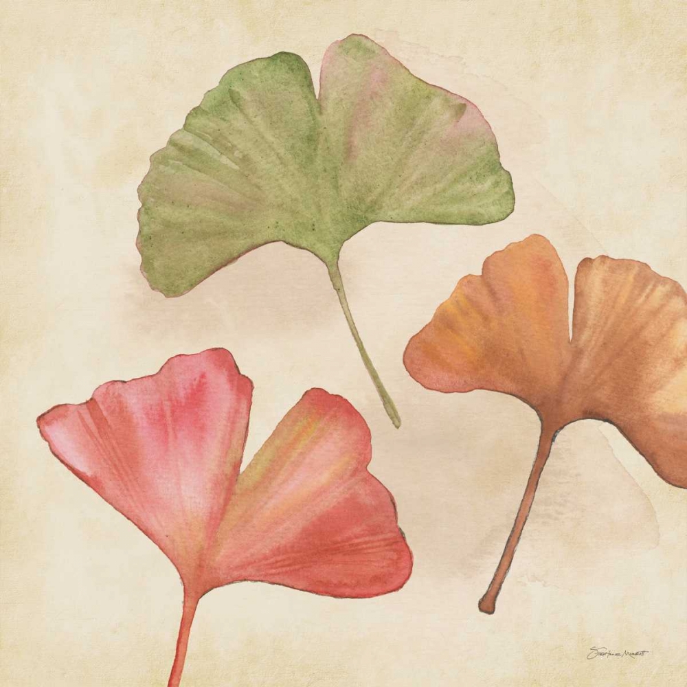 Ginkgos In Fall art print by Stephanie Marrott for $57.95 CAD