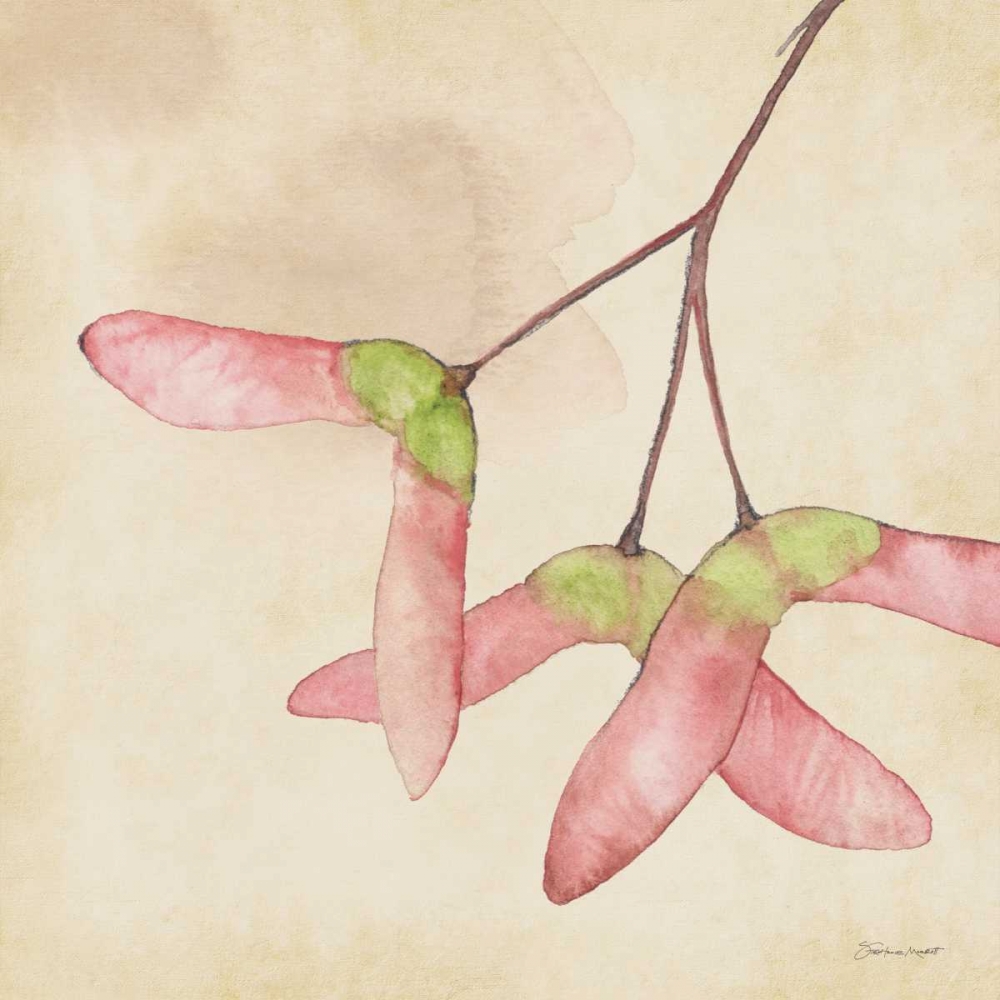 Maple Seeds In Fall art print by Stephanie Marrott for $57.95 CAD