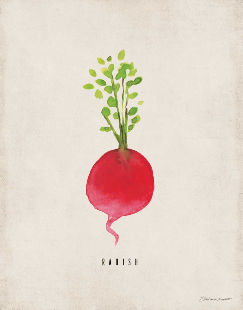 Radish art print by Stephanie Marrott for $57.95 CAD