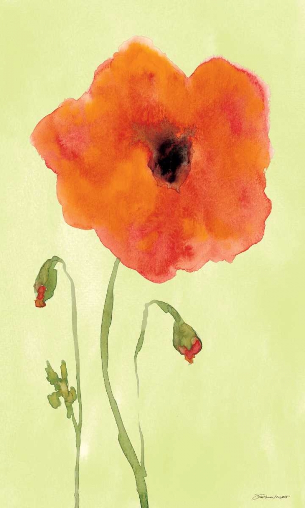 Poppyface art print by Stephanie Marrott for $57.95 CAD
