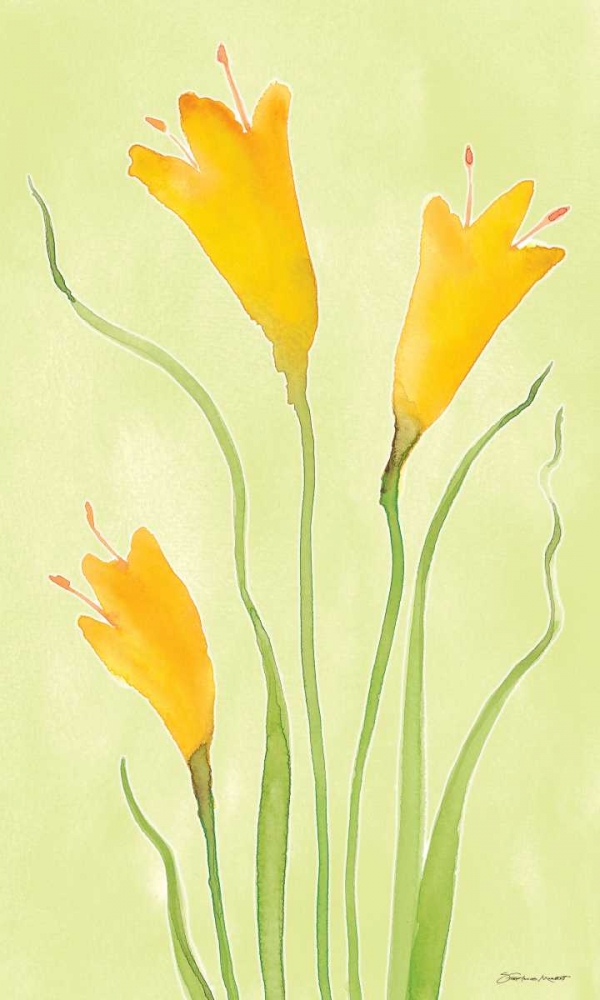 Buttercups art print by Stephanie Marrott for $57.95 CAD