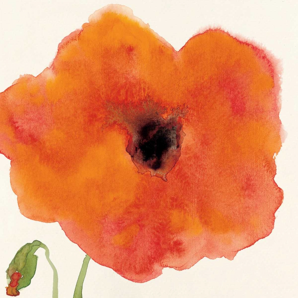 Poppy I art print by Stephanie Marrott for $57.95 CAD