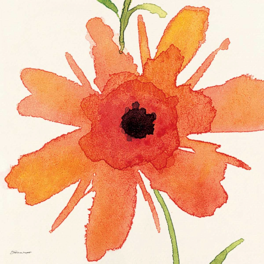 Poppy II art print by Stephanie Marrott for $57.95 CAD