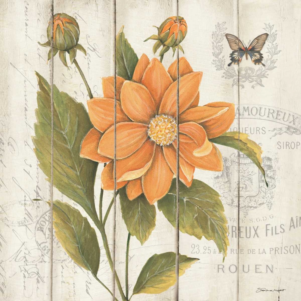 Victorian Dahlia art print by Stephanie Marrott for $57.95 CAD