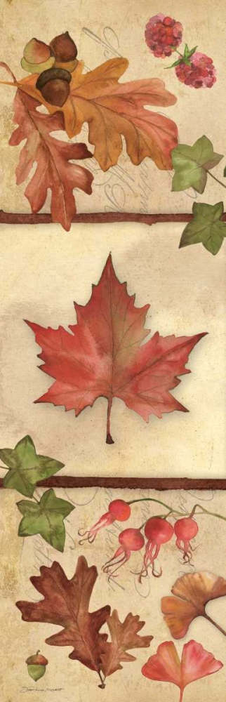 Autumn Collage II art print by Stephanie Marrott for $57.95 CAD