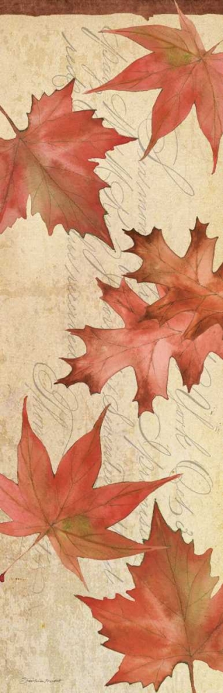 Autumn Collage III art print by Stephanie Marrott for $57.95 CAD