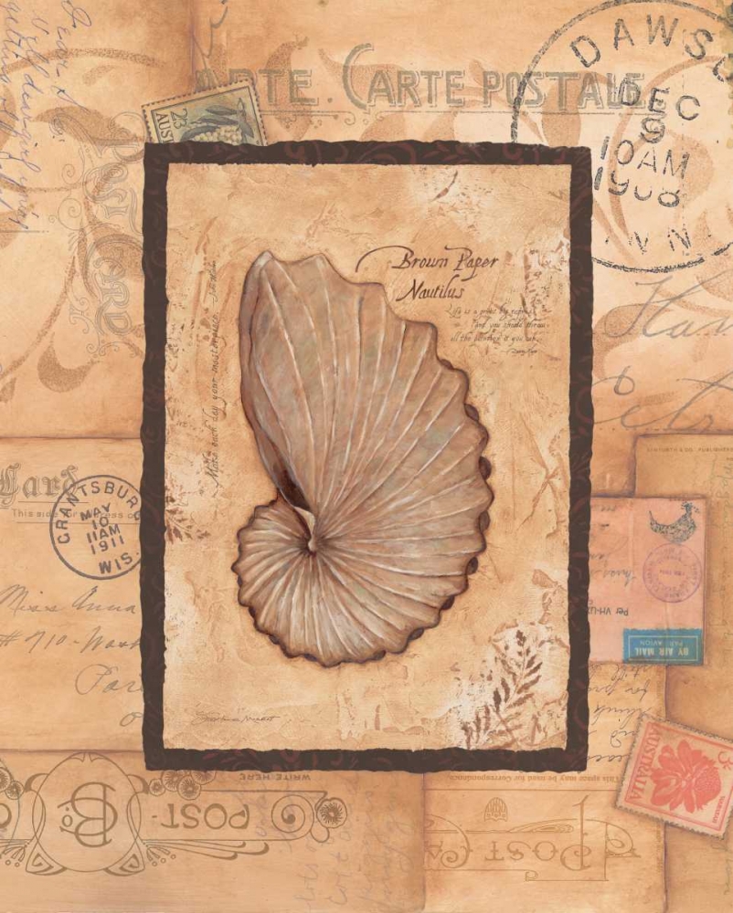 Nautilus art print by Stephanie Marrott for $57.95 CAD