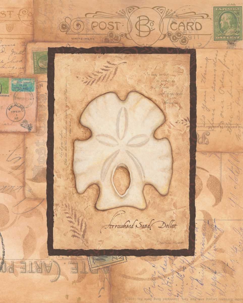 Sand Dollar art print by Stephanie Marrott for $57.95 CAD