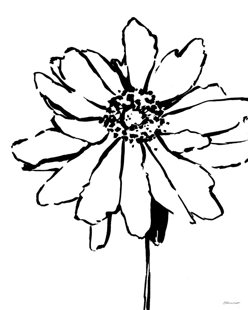 Dahlia art print by Stephanie Marrott for $57.95 CAD