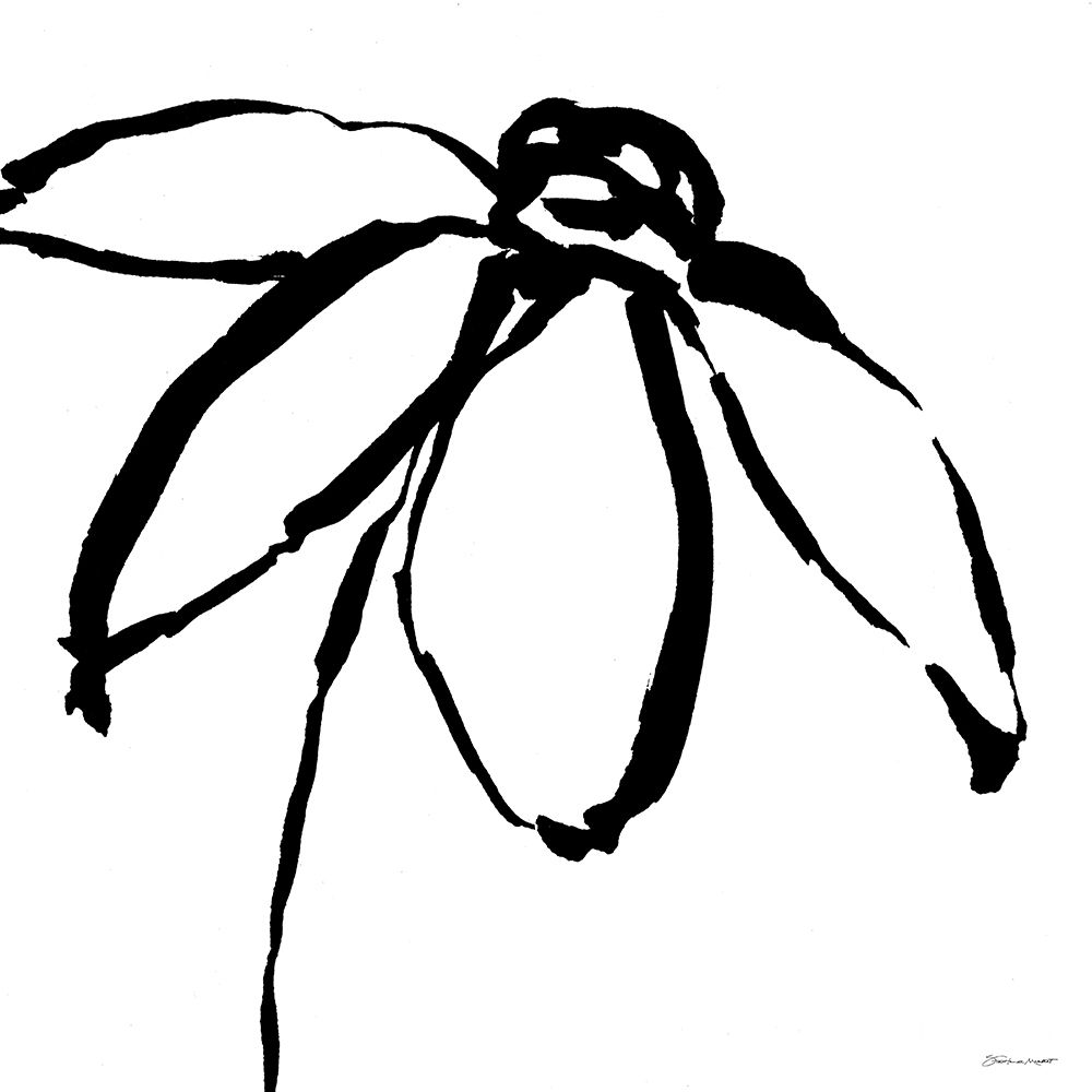 Daisy art print by Stephanie Marrott for $57.95 CAD