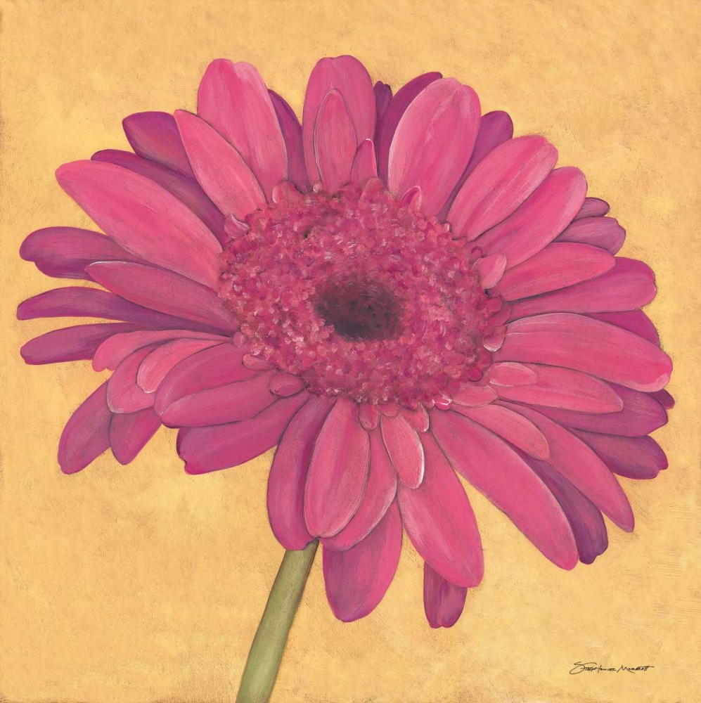 Gerber II art print by Stephanie Marrott for $57.95 CAD