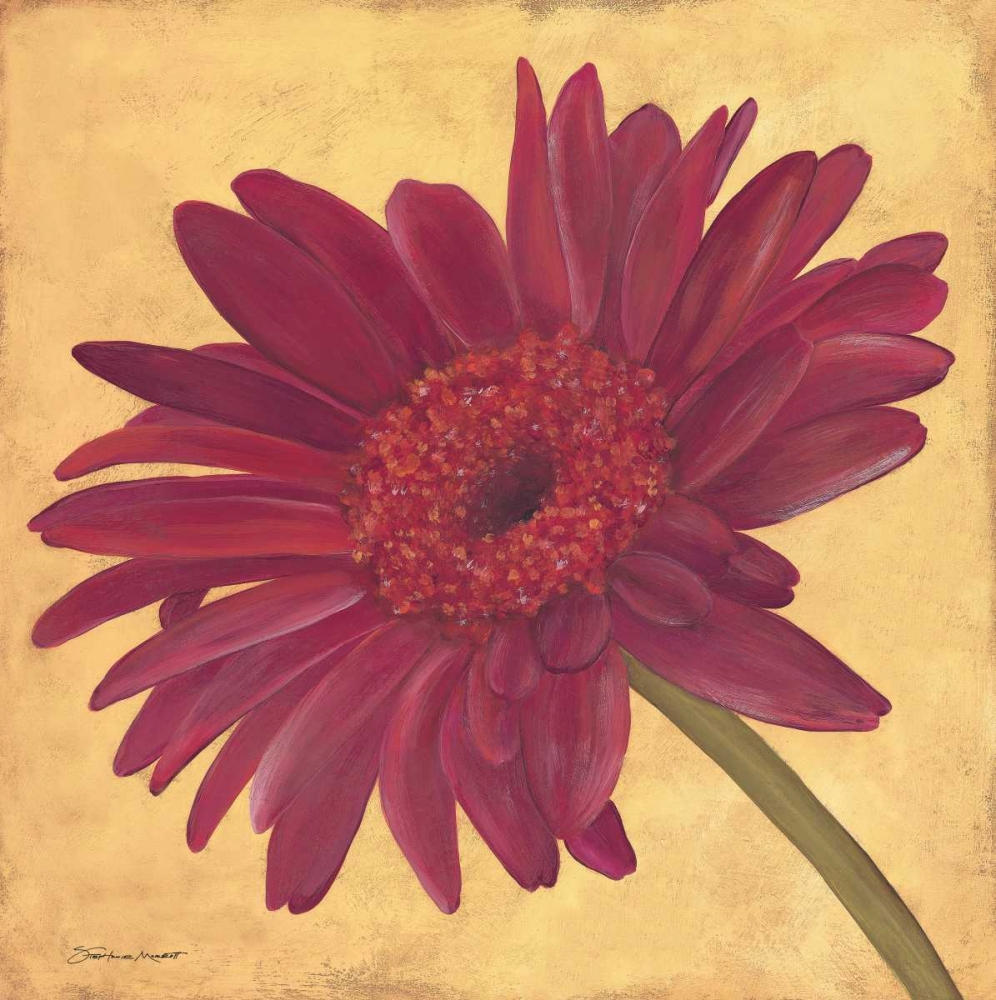 Gerber III art print by Stephanie Marrott for $57.95 CAD