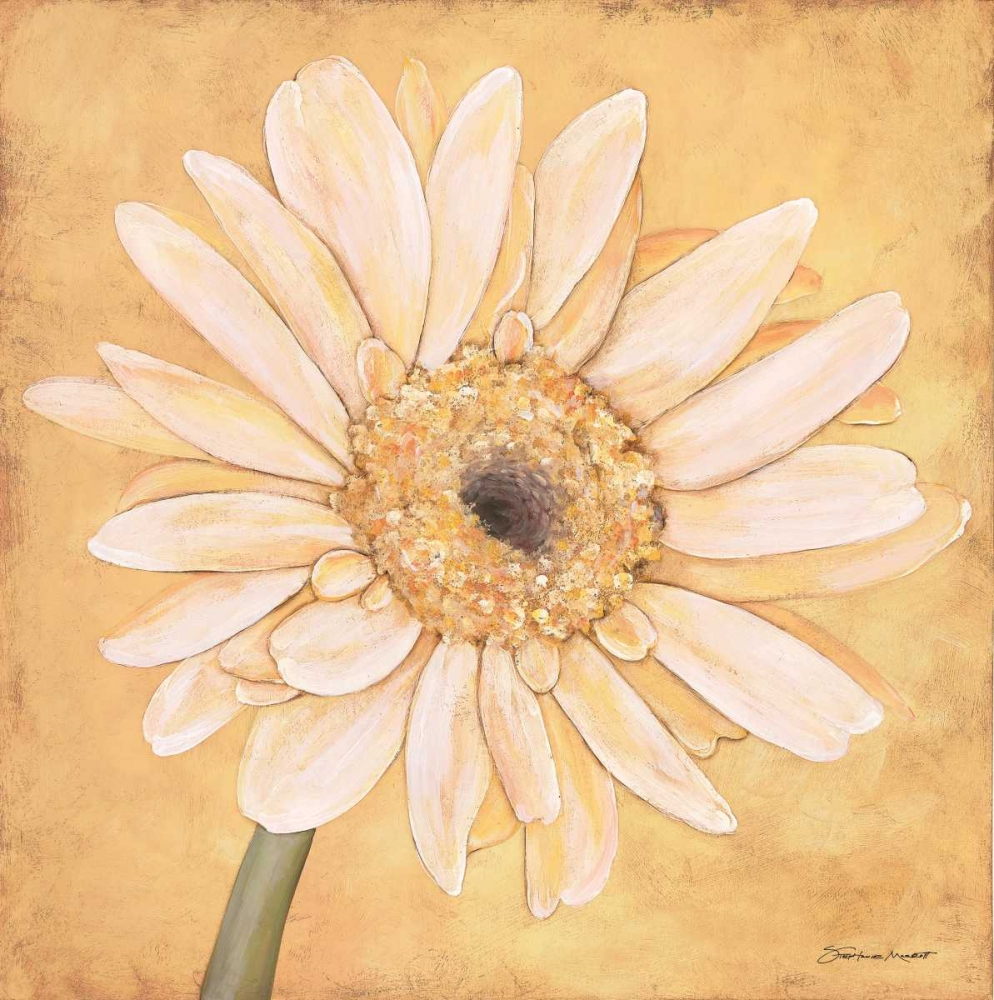 Gerber IV art print by Stephanie Marrott for $57.95 CAD