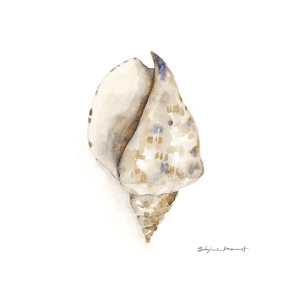 Gift From The Sea II art print by Stephanie Marrott for $57.95 CAD