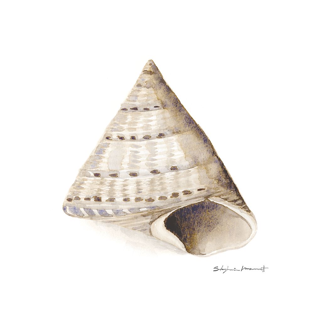 Gift From The Sea III art print by Stephanie Marrott for $57.95 CAD