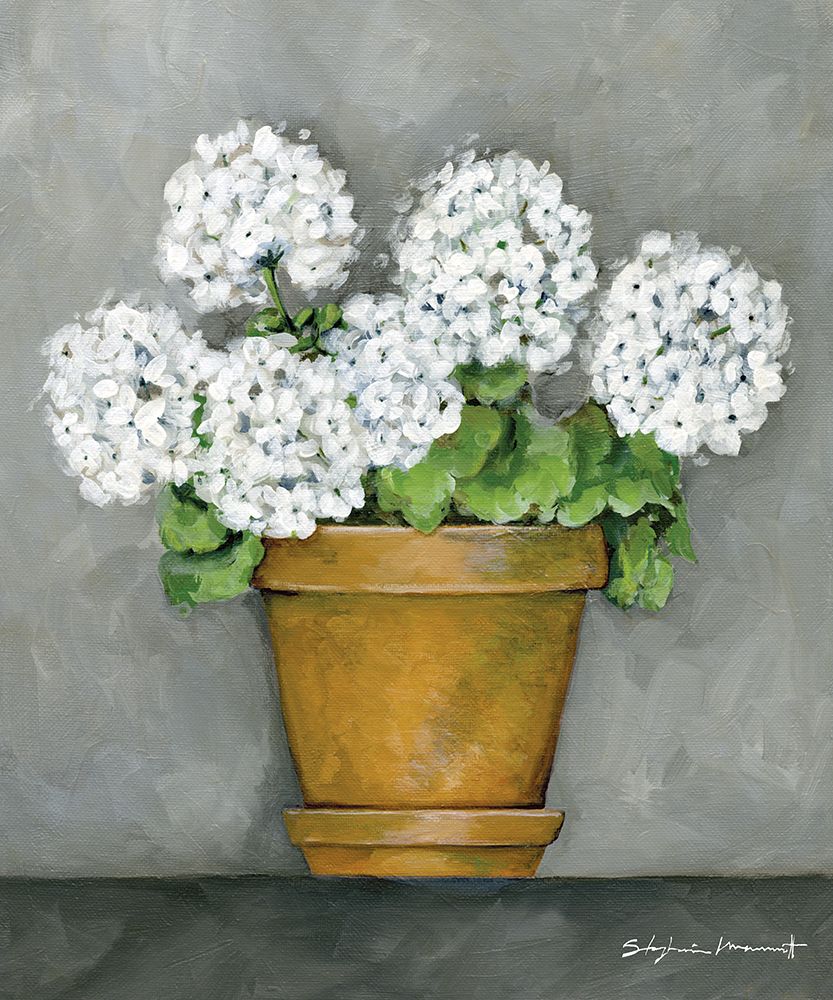 Geraniums In Bloom art print by Stephanie Marrott for $57.95 CAD