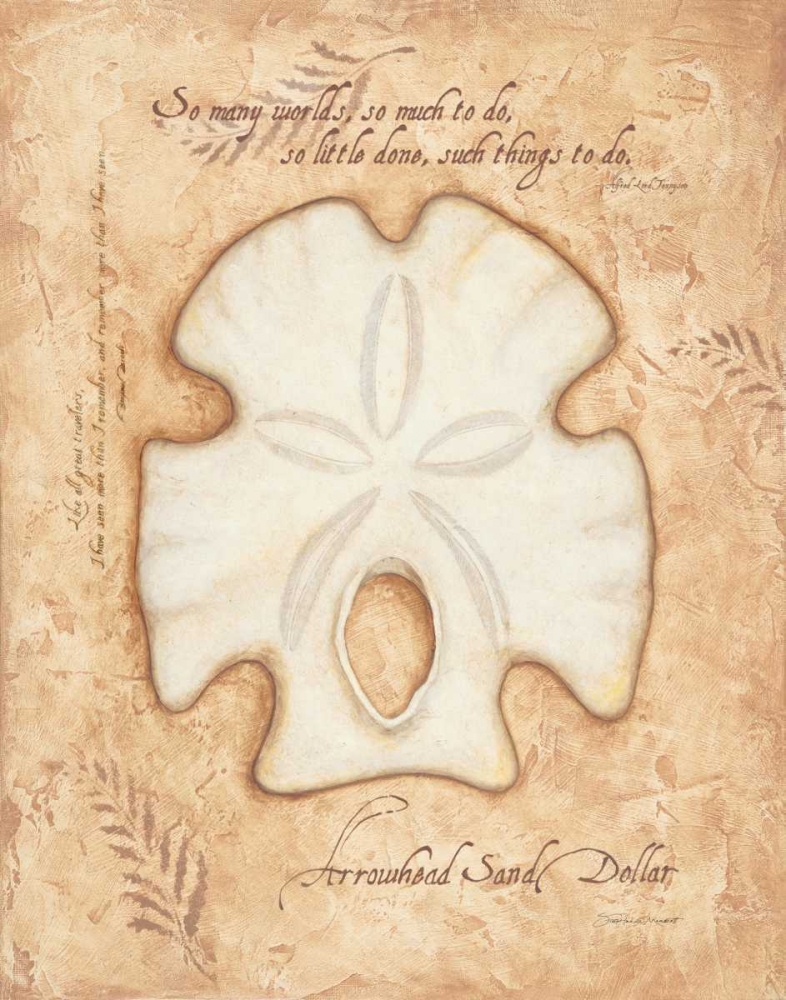 Arrowhead Sand Dollar art print by Stephanie Marrott for $57.95 CAD