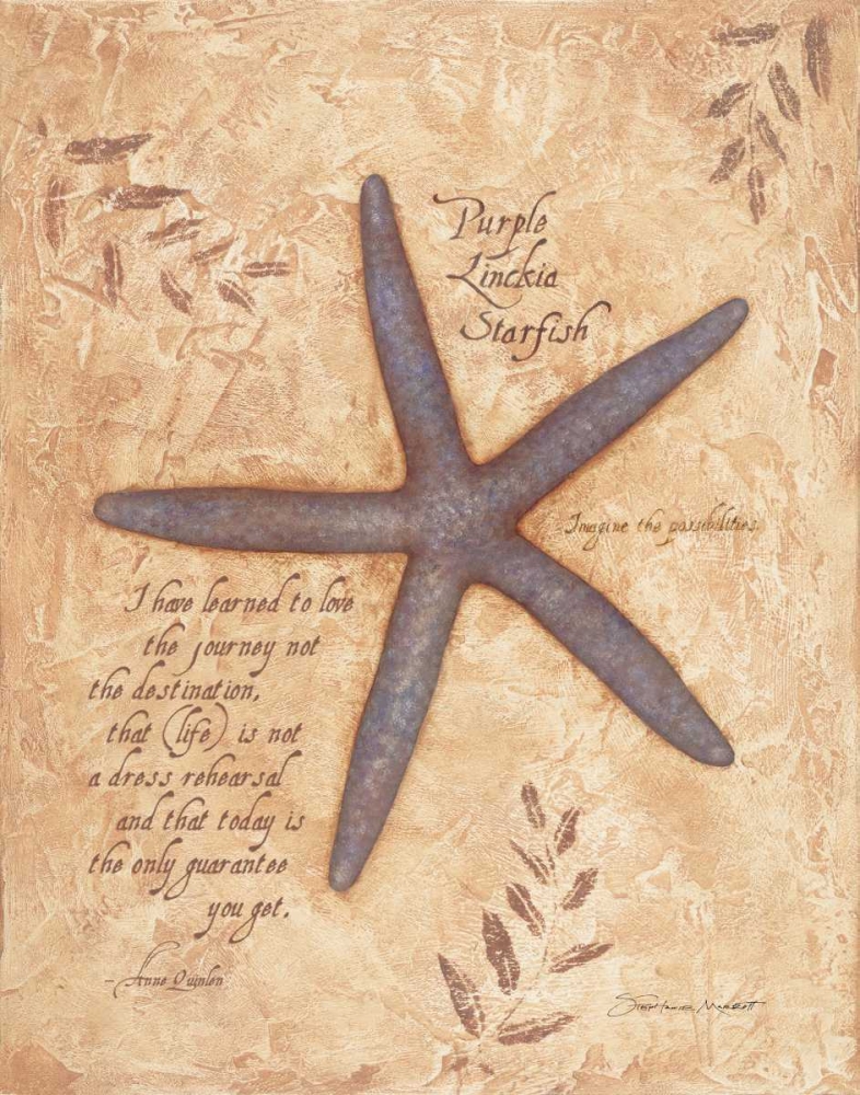 Starfish art print by Stephanie Marrott for $57.95 CAD