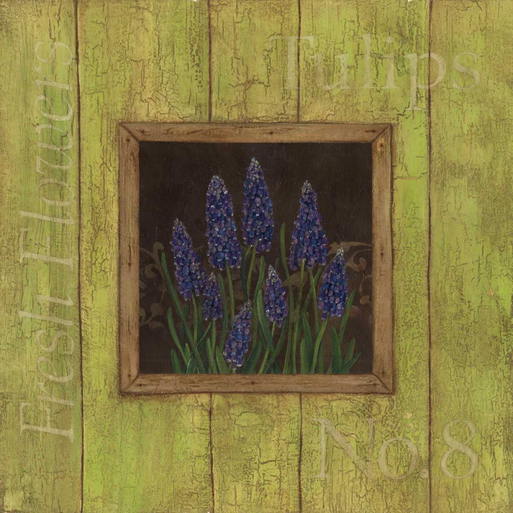 Grape Hyacinths art print by Stephanie Marrott for $57.95 CAD