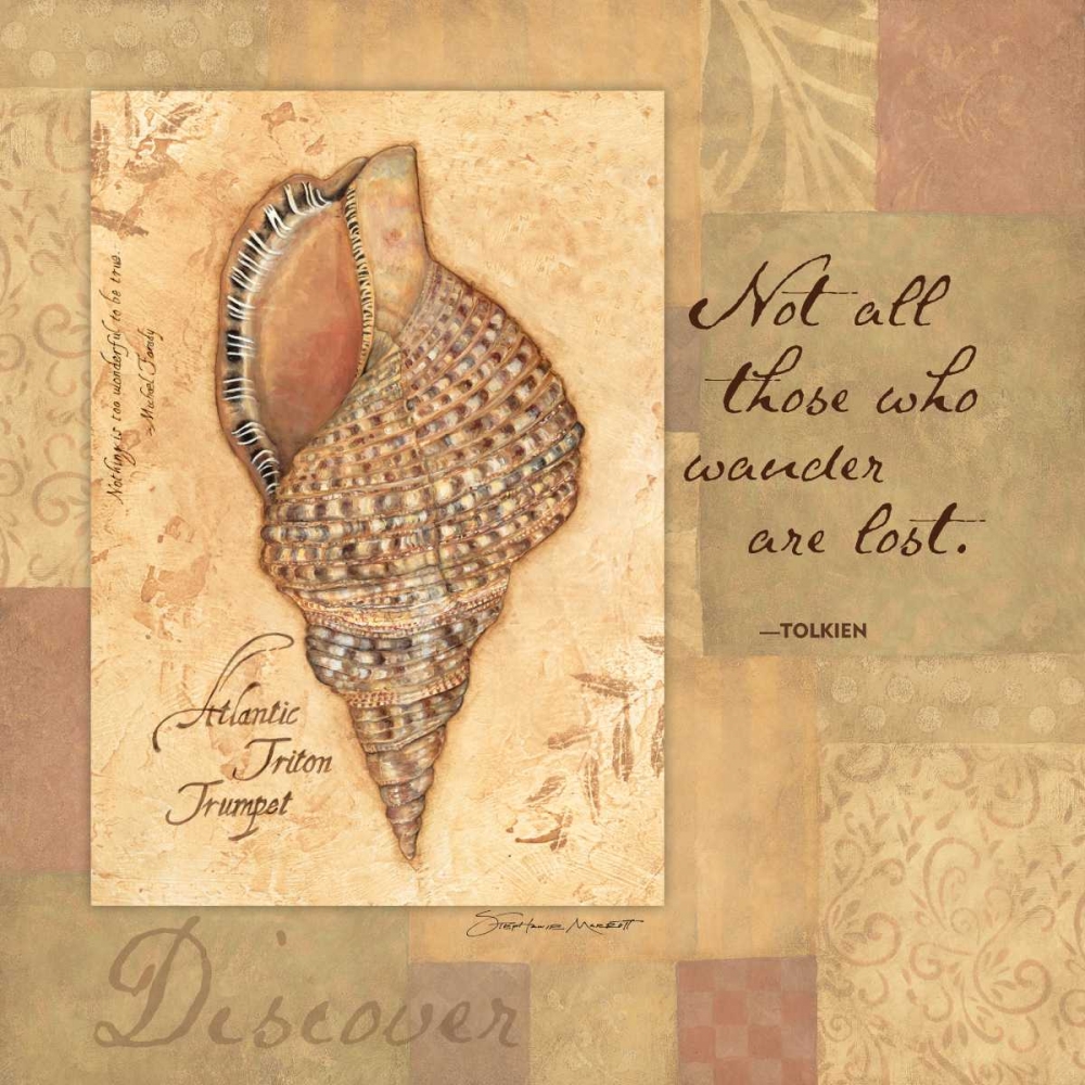 Discover Shell art print by Stephanie Marrott for $57.95 CAD