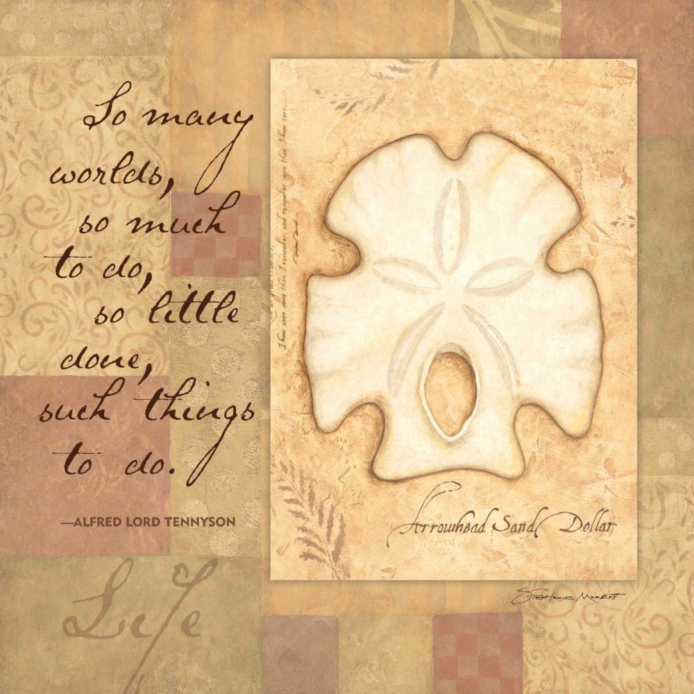 Life Shell art print by Stephanie Marrott for $57.95 CAD