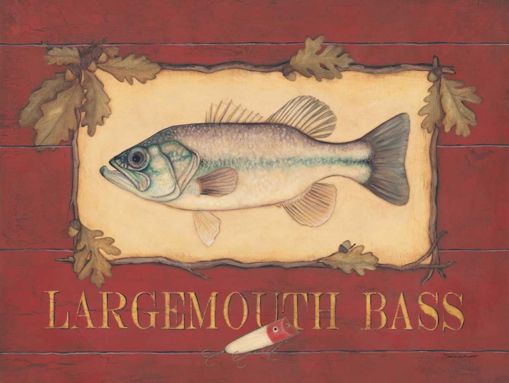 Bass art print by Stephanie Marrott for $57.95 CAD