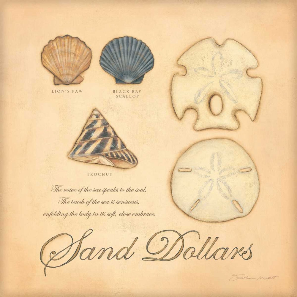 Sand Dollars art print by Stephanie Marrott for $57.95 CAD