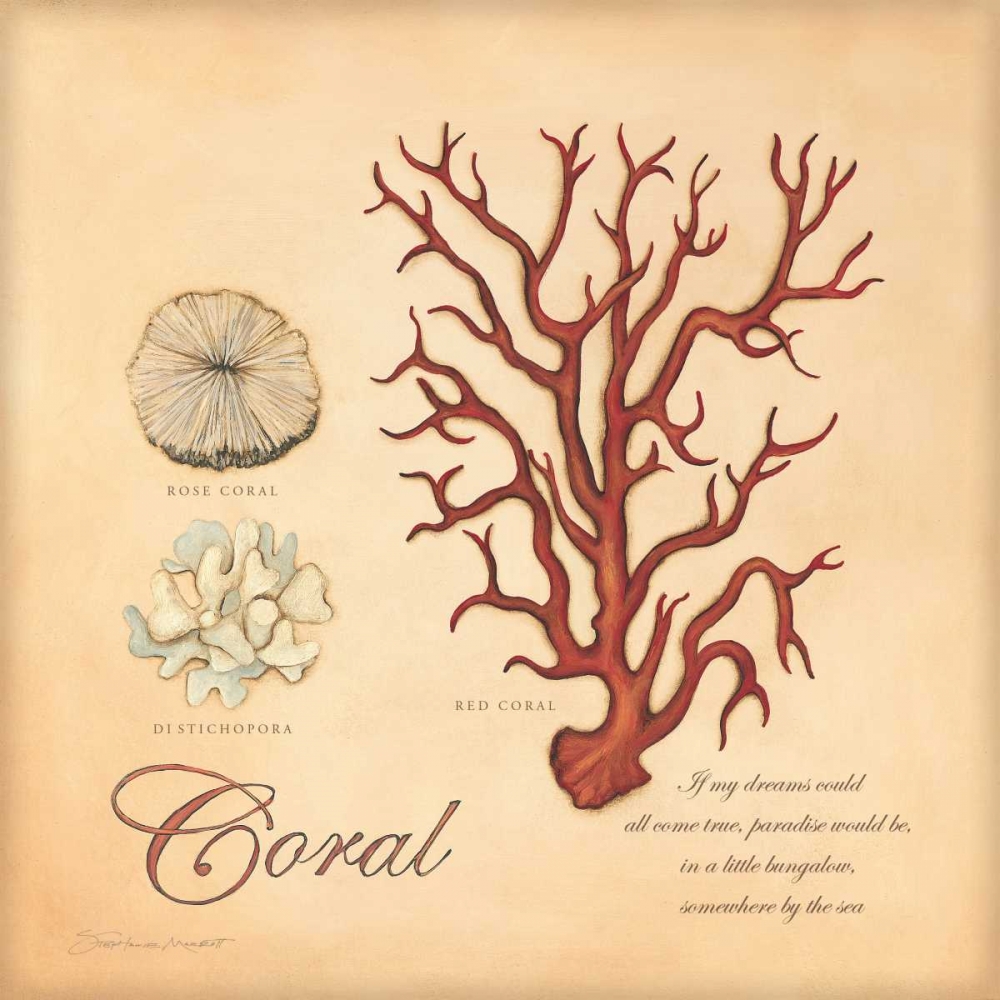 Coral art print by Stephanie Marrott for $57.95 CAD