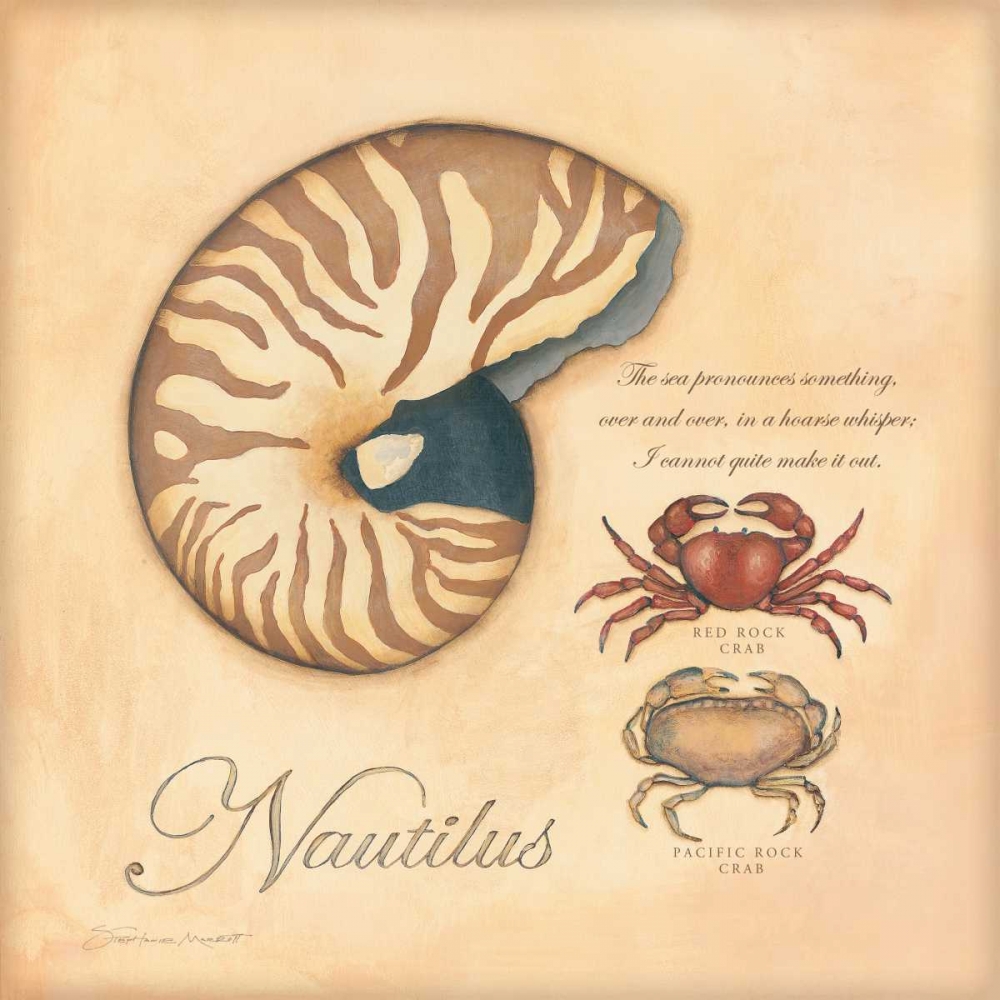 Nautilus art print by Stephanie Marrott for $57.95 CAD