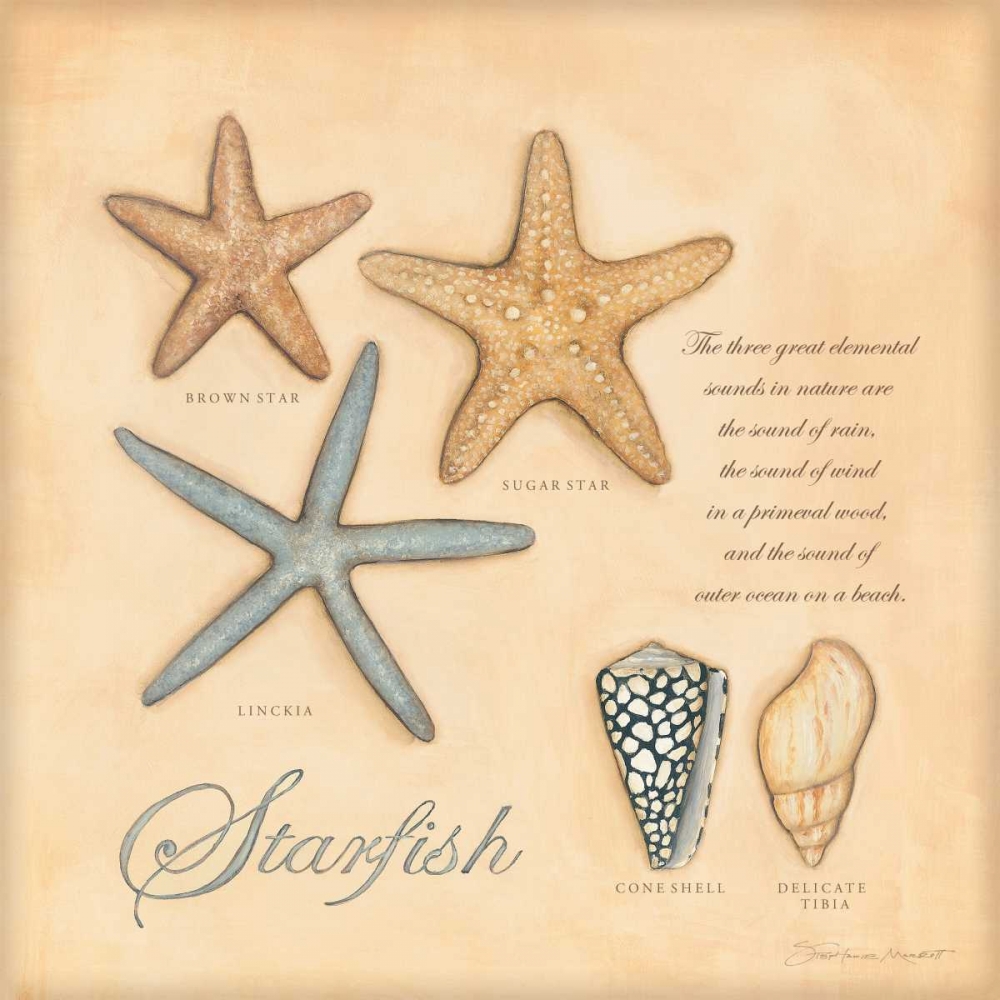 Starfish art print by Stephanie Marrott for $57.95 CAD