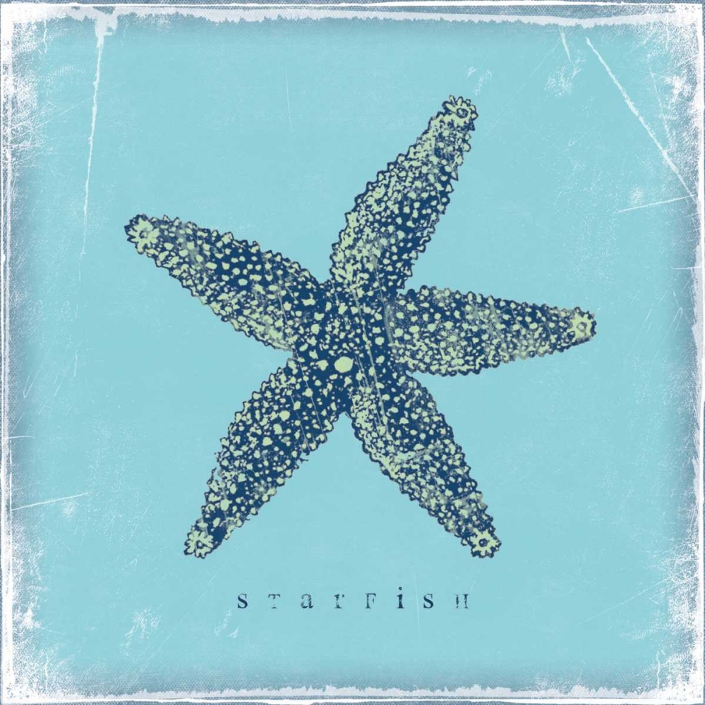 Starfish art print by Stephanie Marrott for $57.95 CAD