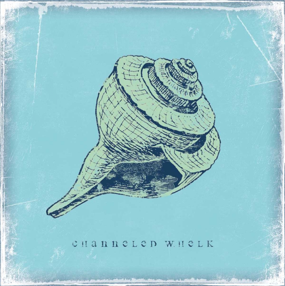 Whelk art print by Stephanie Marrott for $57.95 CAD