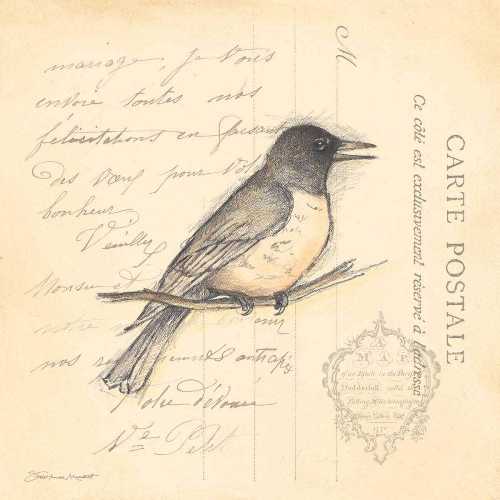 Bird II art print by Stephanie Marrott for $57.95 CAD