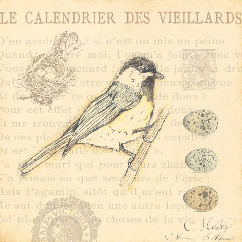 Bird IV art print by Stephanie Marrott for $57.95 CAD
