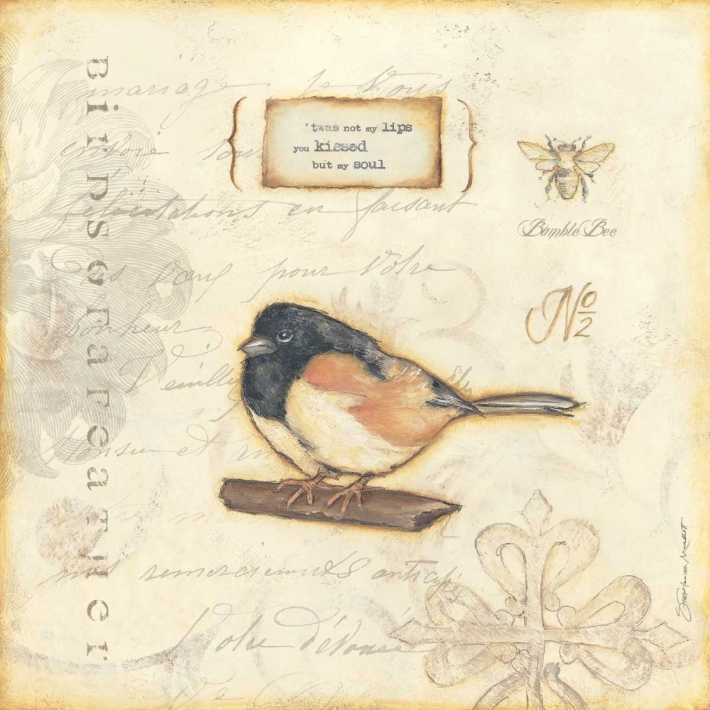Colro Bird II art print by Stephanie Marrott for $57.95 CAD