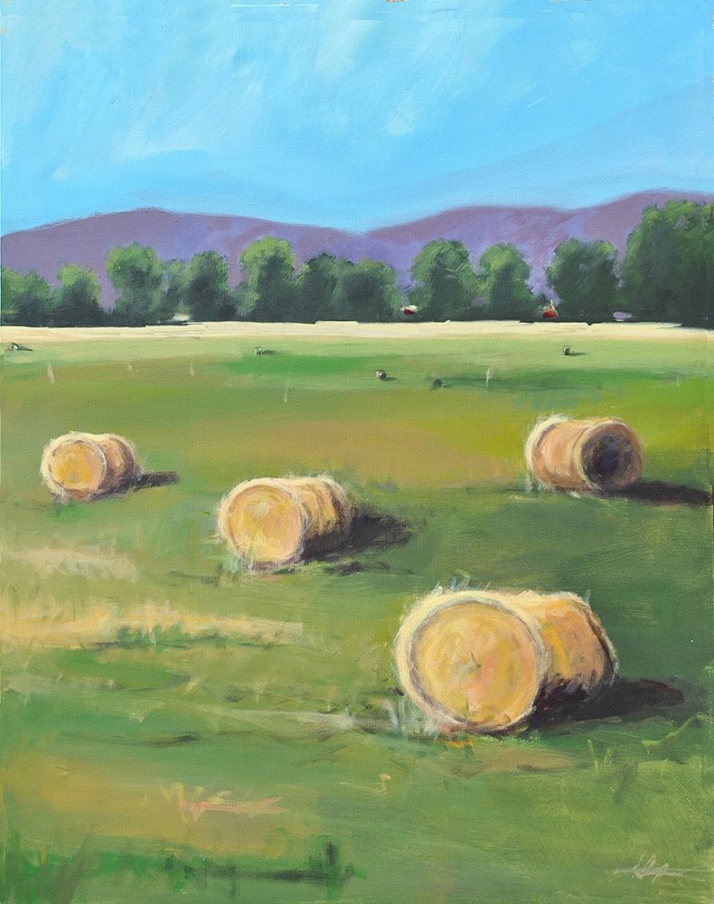 Hay Rolls art print by Allayn Stevens for $57.95 CAD