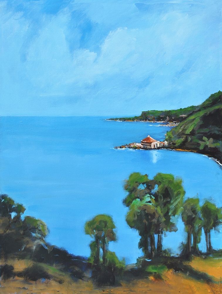 My Cove art print by Allayn Stevens for $57.95 CAD