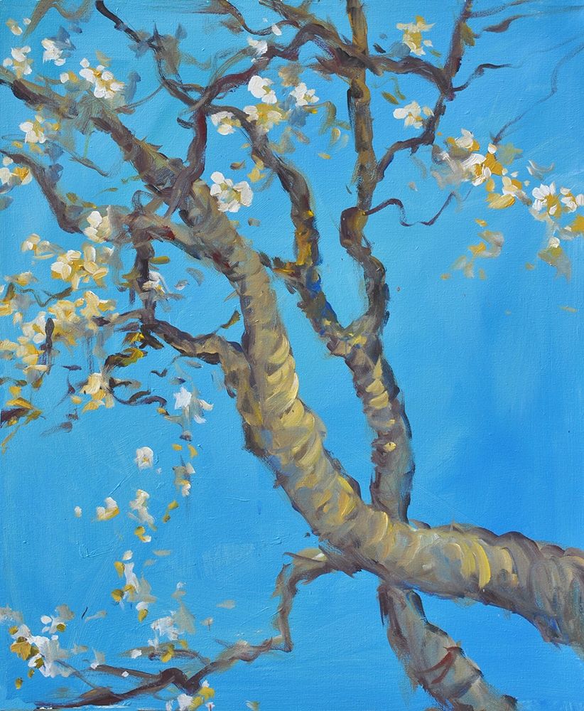 Cherry Blossom -1 art print by Allayn Stevens for $57.95 CAD