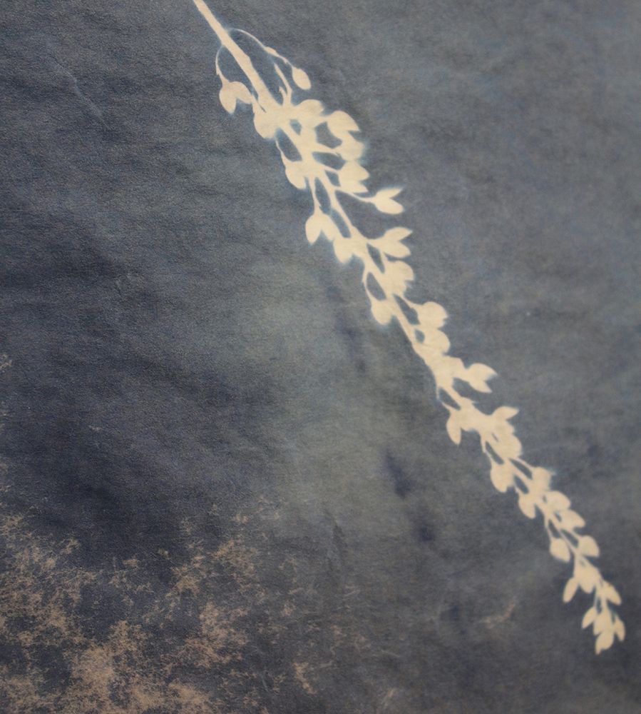 Fern art print by Blue for $57.95 CAD