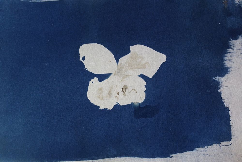 White Flower art print by Blue for $57.95 CAD
