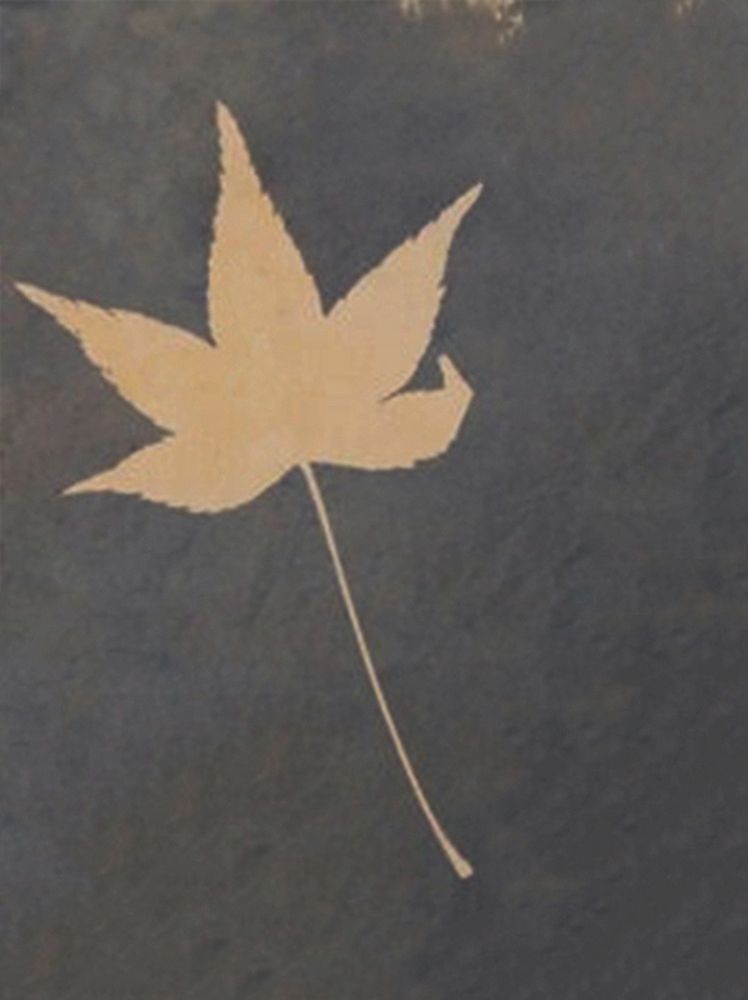 Lone Leaf art print by Blue for $57.95 CAD