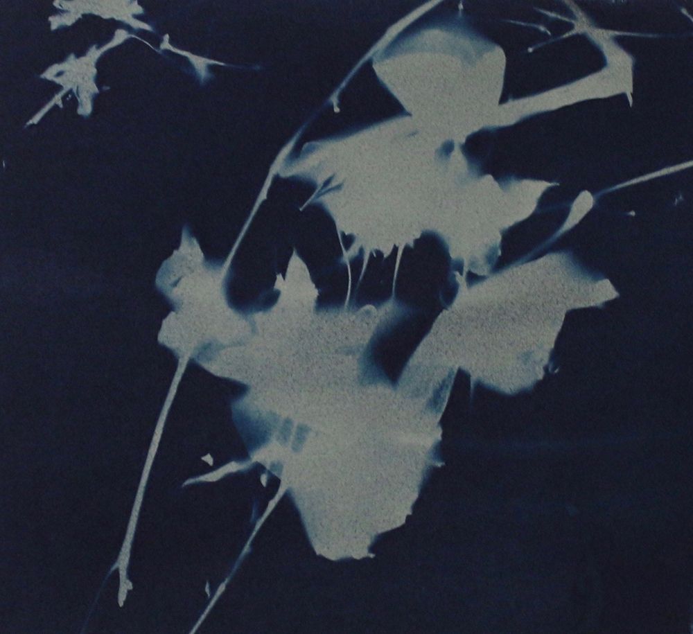 Grey On Blue art print by Blue for $57.95 CAD