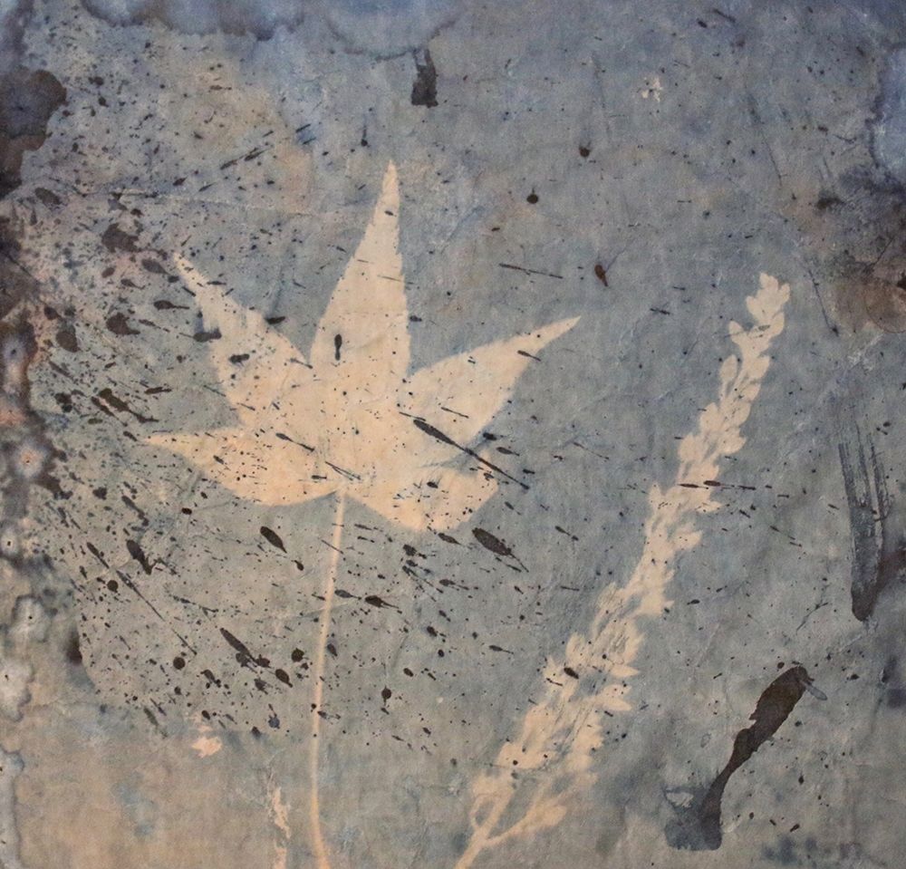 Leaf and Fern art print by Blue for $57.95 CAD